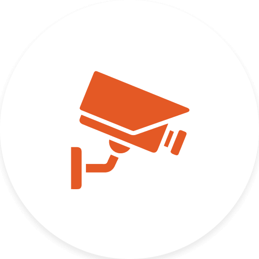 Site Camera Surveillance Icon